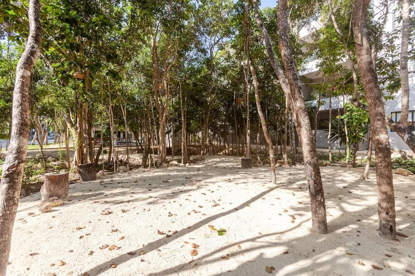Omg! New Casa Tortuga10Mincaribewifi 200Mbgym Villa Playa del Carmen 0*,