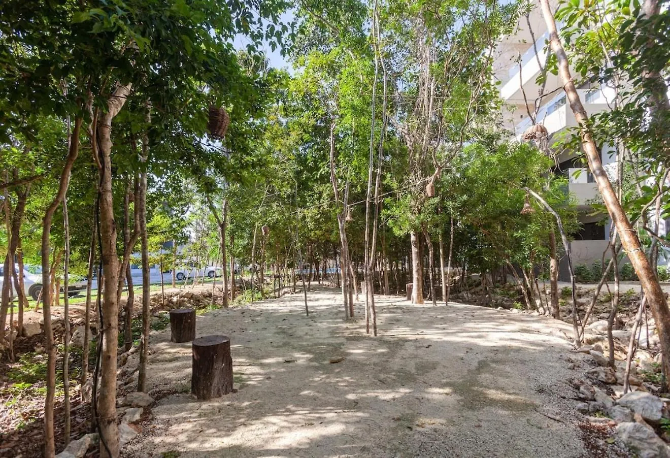 Omg! New Casa Tortuga10Mincaribewifi 200Mbgym Villa Playa del Carmen